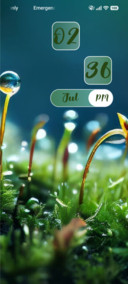 Grass