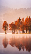 The morning mist of early autumn