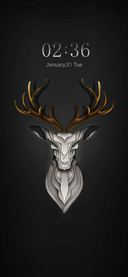 Deer Life