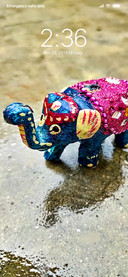 Elephant_DWM3