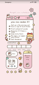 Weight loss plan