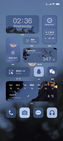 从你的全世界路过