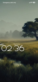 Grass
