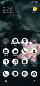 Waterlily_3MDS
