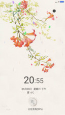 一枝花
