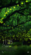  Firefly Night