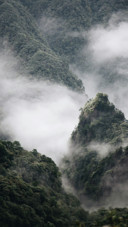 山