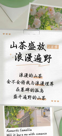 山茶盛放浪漫遍野