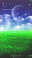 moon on grassland