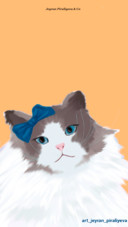Cat (3)