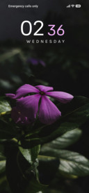 Amethyst Bloom