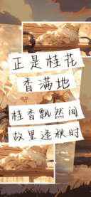 正是桂花香满地