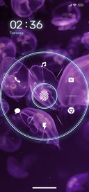 Purple_9