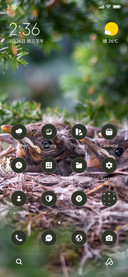Forest Nest