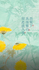 愿盛夏无忧