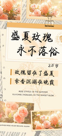 盛夏玫瑰永不落俗