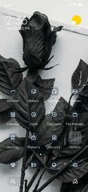 Blackroses