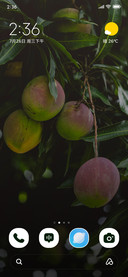 Mango Cluster