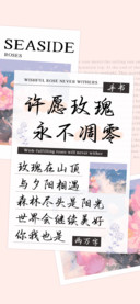 许愿玫瑰永不凋零