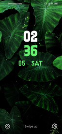 Forest Green