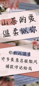 山茶的爱温柔似你