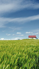 The countryside scenery blends harmoniously with the sky.