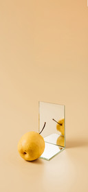 The Mirror  and The Still Life-PAIXIN