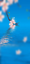 桃花劫