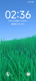 晴夏绿草