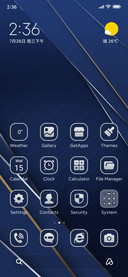 Navy Gold Prism
