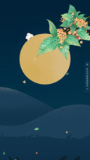 圆月
