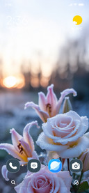 Frosted Rose