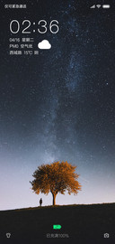 The stars