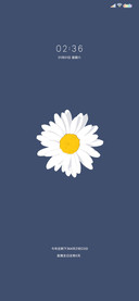 花儿