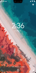 X Android 10 Q_DWM19
