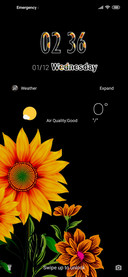 Plant_Sunflower