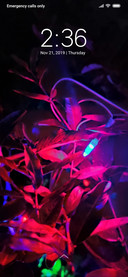 Blue Lights Disco_DWM3