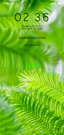 护眼嫩叶