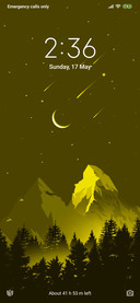 Golden Forest