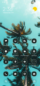 Palm Tree