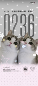 哈基米 ins风小猫咪