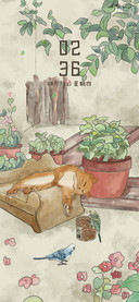 鹦鹉与猫