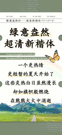 绿意盎然超清新楷体