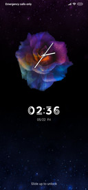 ROSE-SUMMER