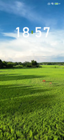 steppe