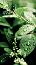 好评抽送红包，雨露