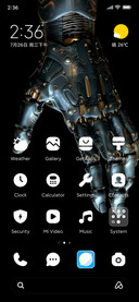 Prosthesis