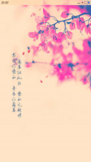 情人