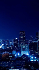 夜城