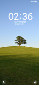 护眼草原绿